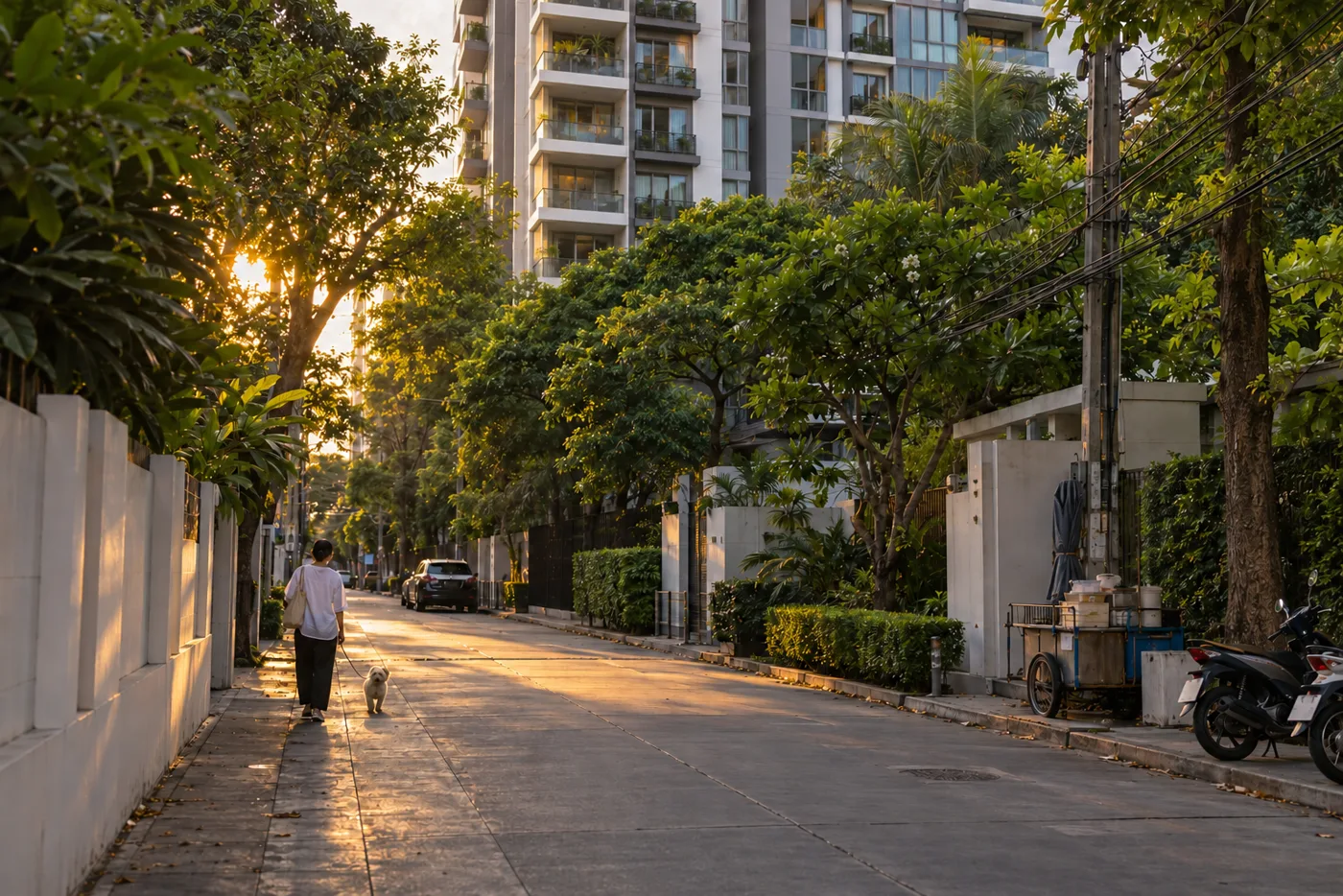 A person seen from behind walking a small dog along a shaded pavement on a quiet Ekkamai side street in Bangkok, with a residential condominium tower rising behind the trees in early evening light